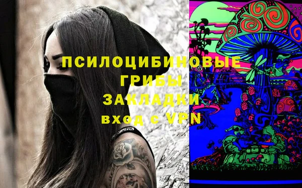 кокс Алексин