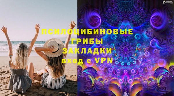 кокс Алексин
