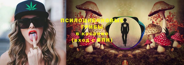 дживик Алзамай