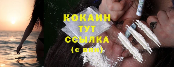 кокс Алексин